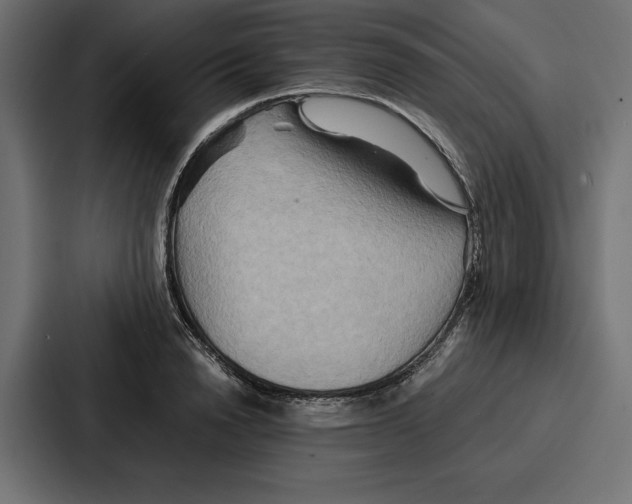 X0000086740846200705111633
