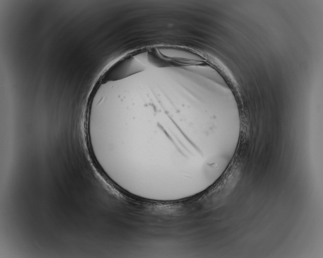 X0000086740847200705111633