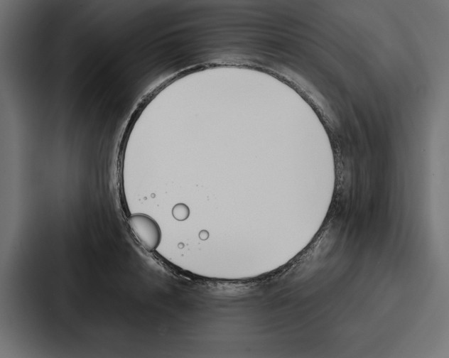 X0000086740848200705111633