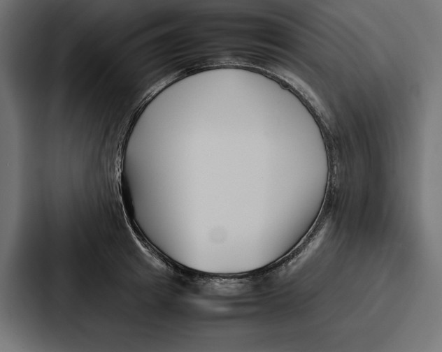 X0000086740849200705111633