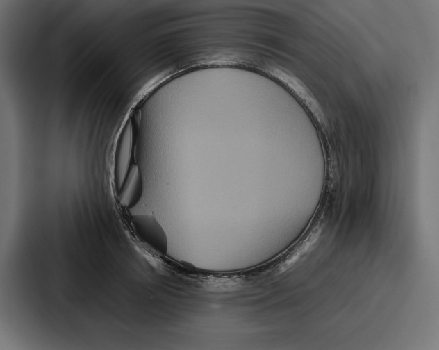 X0000086740850200705111633
