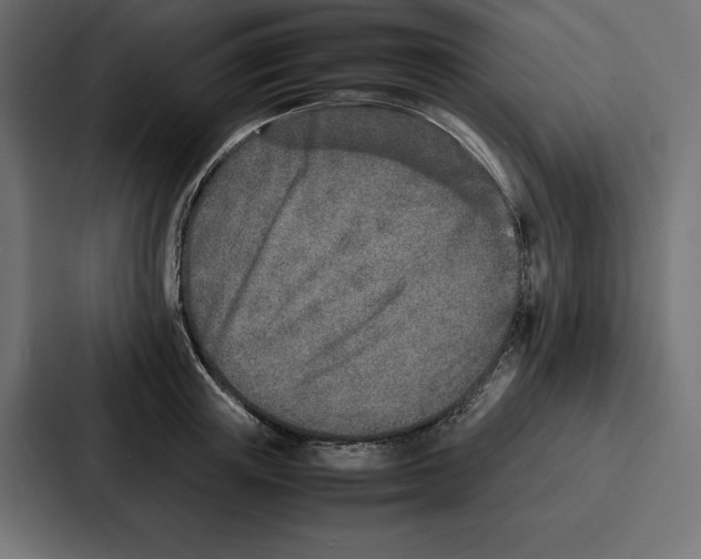 X0000086740851200705111633