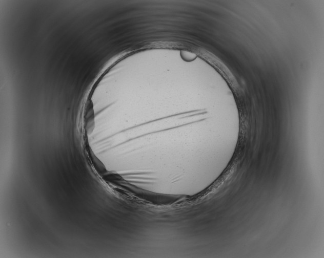 X0000086740852200705111633