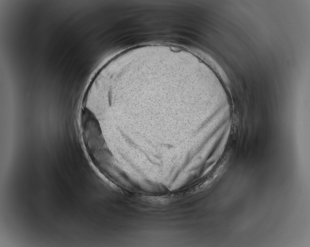 X0000086740855200705111633