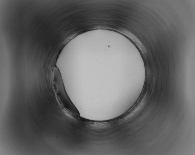 X0000086740857200705111633