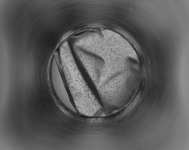 X0000086740858200705111633
