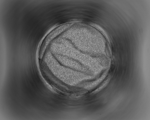 X0000086740859200705111633