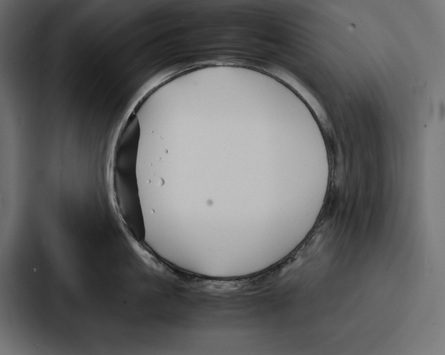 X0000086740861200705111633