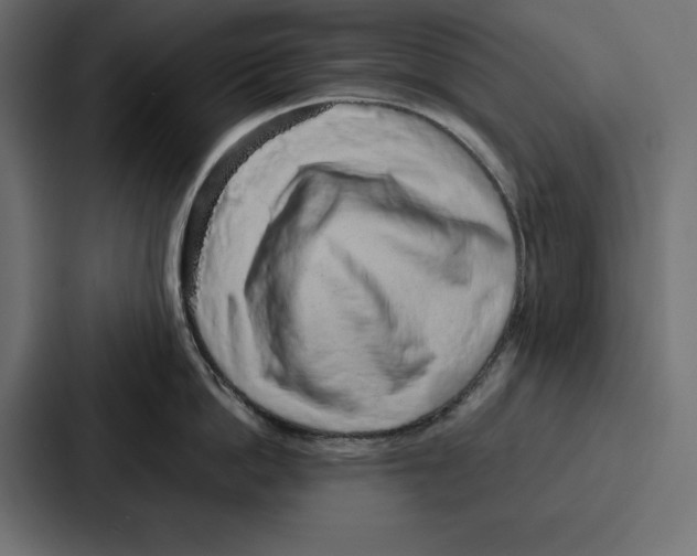 X0000086740862200705111633