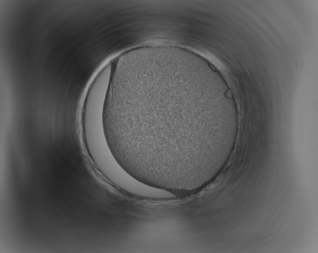 X0000086740864200705111633