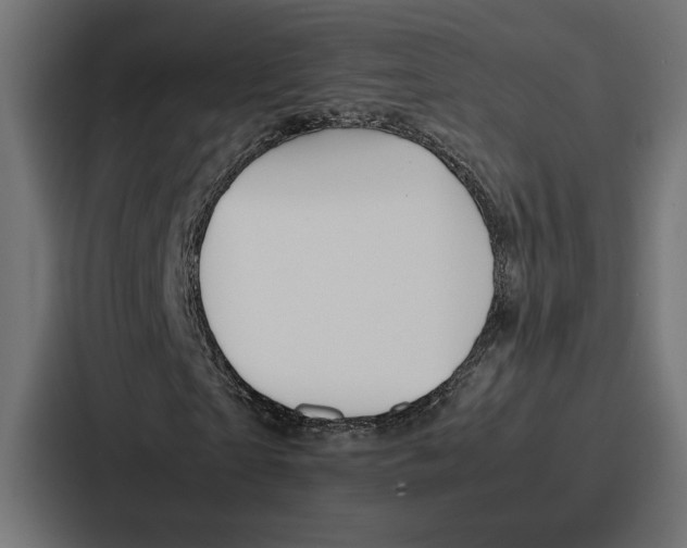X0000086740865200705111633