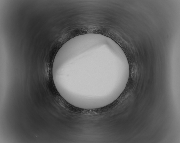 X0000086740866200705111633