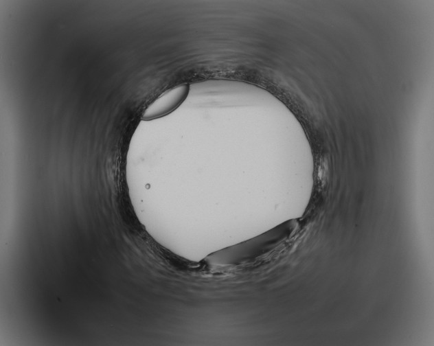 X0000086740867200705111633