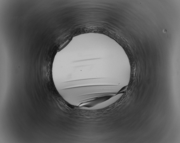 X0000086740868200705111633