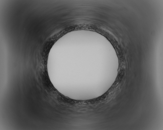 X0000086740869200705111633