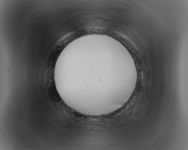 X0000086740870200705111633
