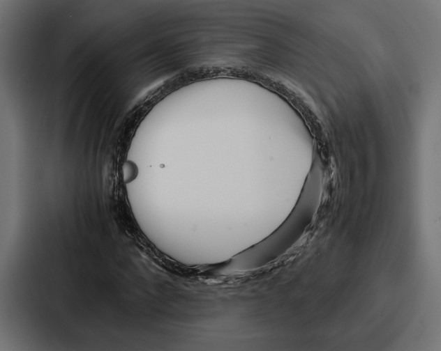 X0000086740872200705111633