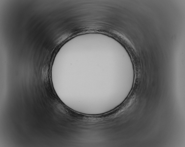 X0000086740873200705111633
