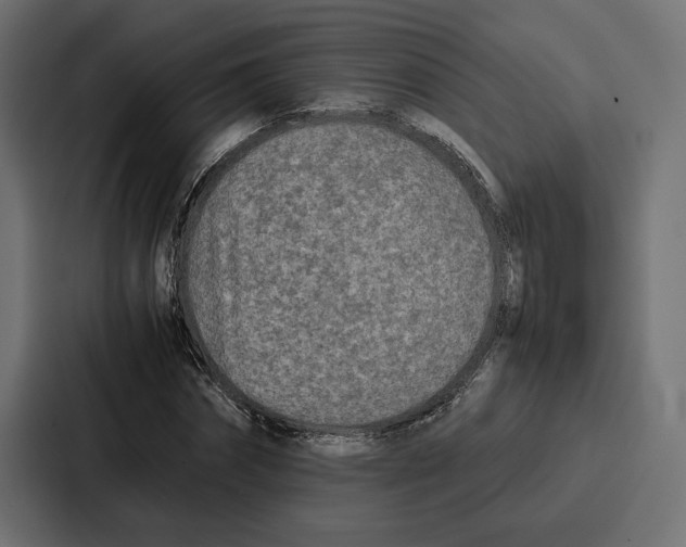 X0000086740874200705111633