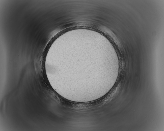 X0000086740875200705111633