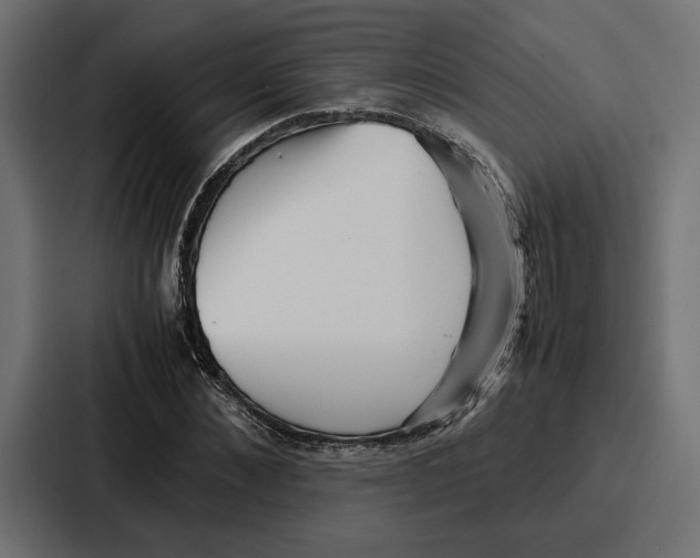 X0000086740876200705111633