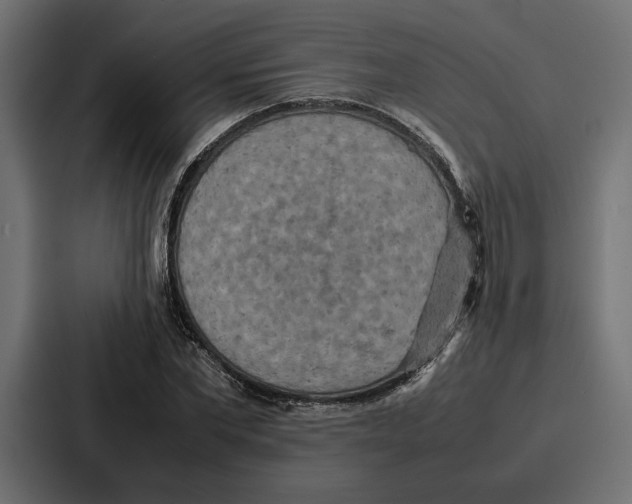 X0000086740877200705111633