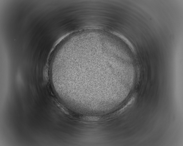 X0000086740878200705111633