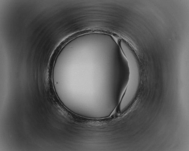 X0000086740880200705111633