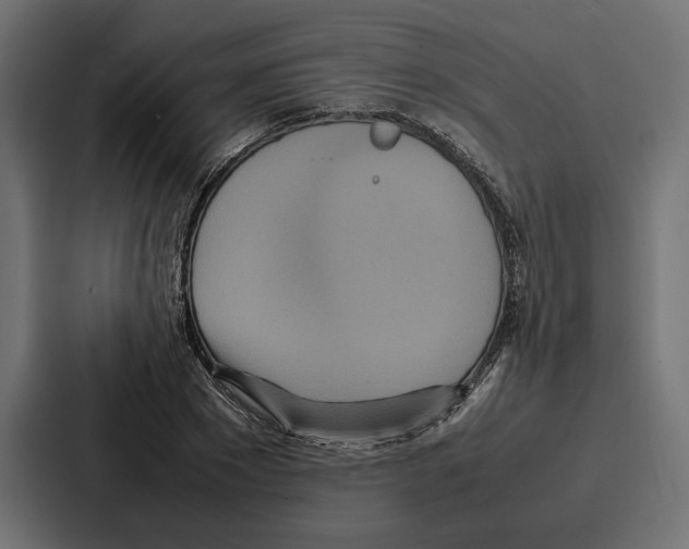 X0000086740881200705111633