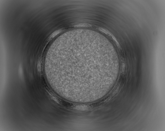 X0000086740882200705111633