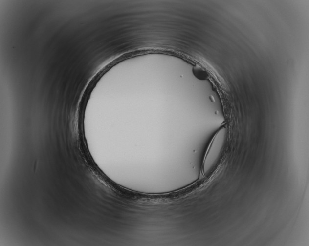 X0000086740884200705111633