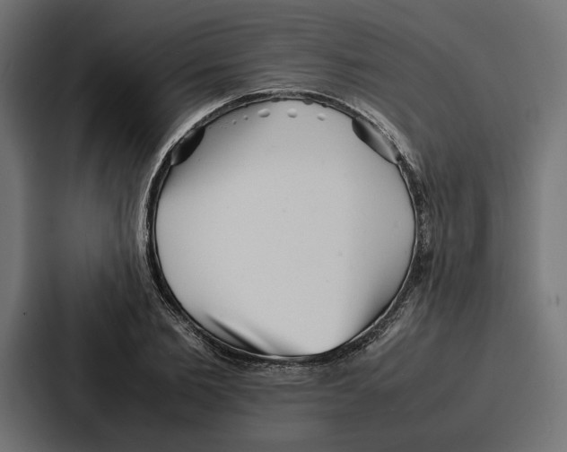 X0000086740885200705111633
