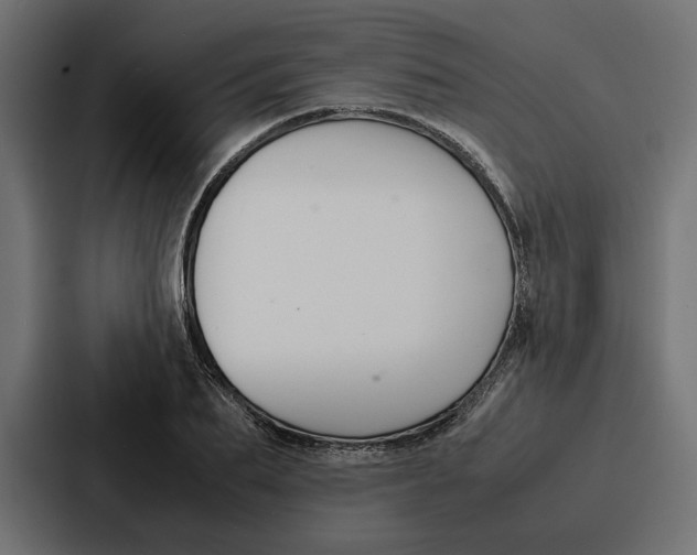 X0000086740887200705111633