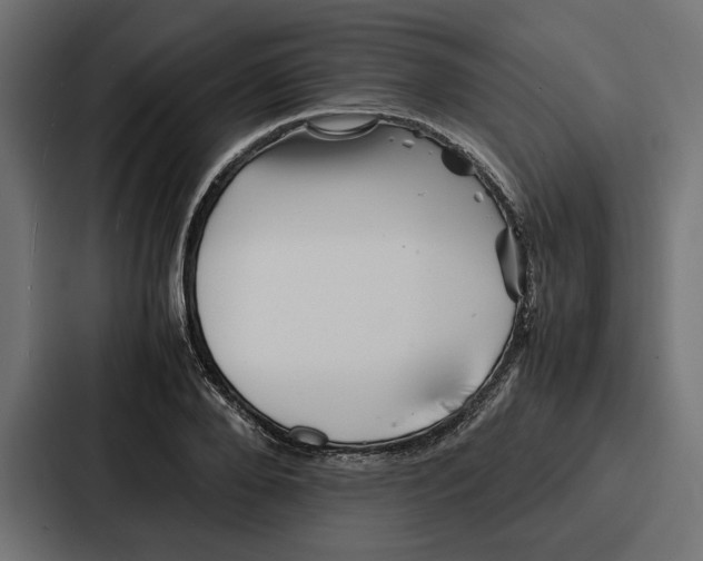 X0000086740888200705111633