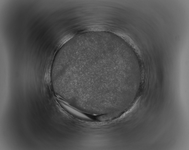 X0000086740889200705111633