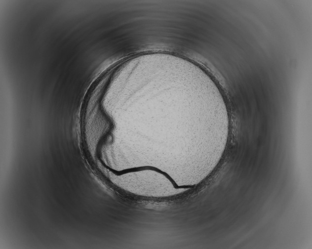 X0000086740890200705111632