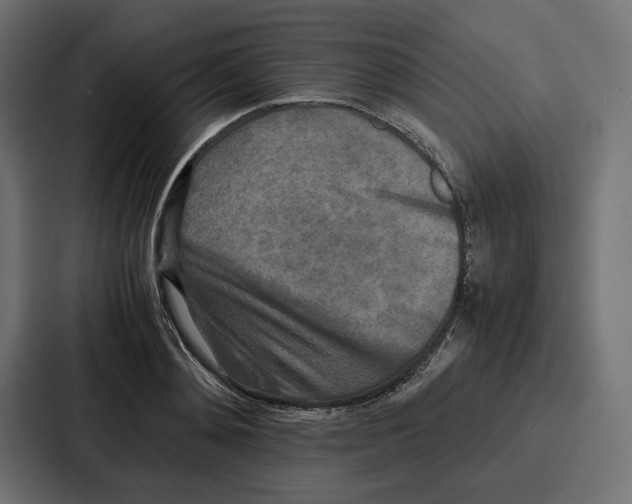 X0000086740892200705111632