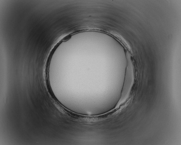 X0000086740893200705111632