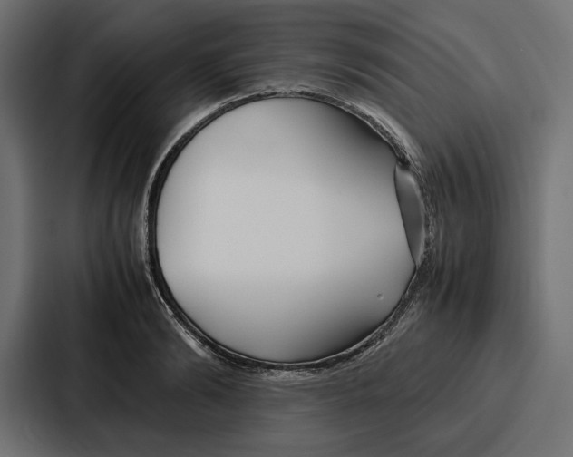 X0000086740894200705111632