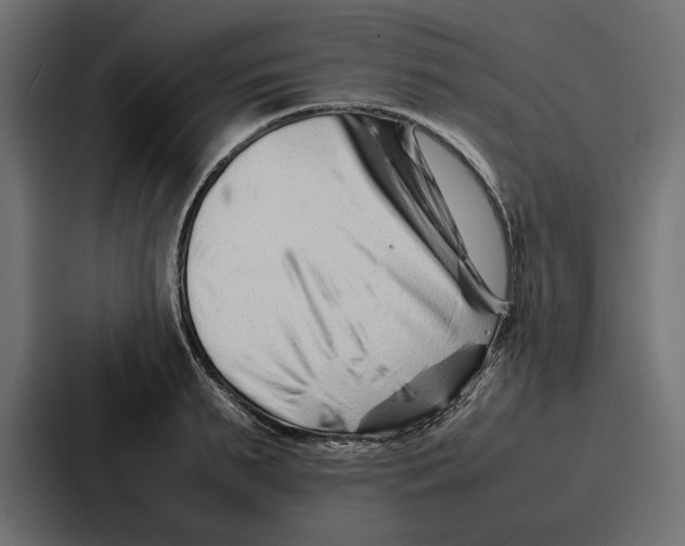 X0000086740895200705111632