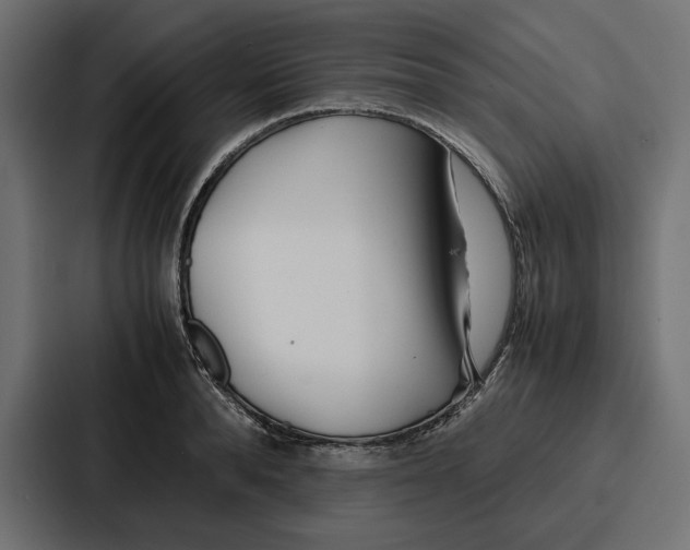 X0000086740896200705111632