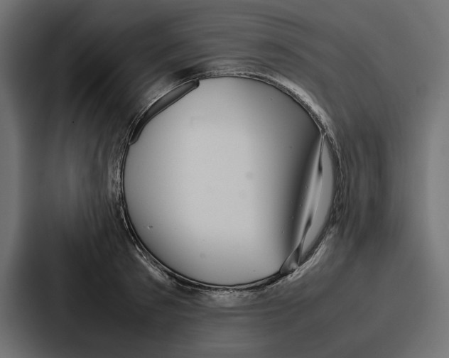 X0000086740897200705111632