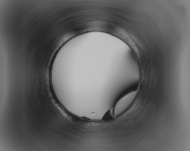 X0000086740898200705111632