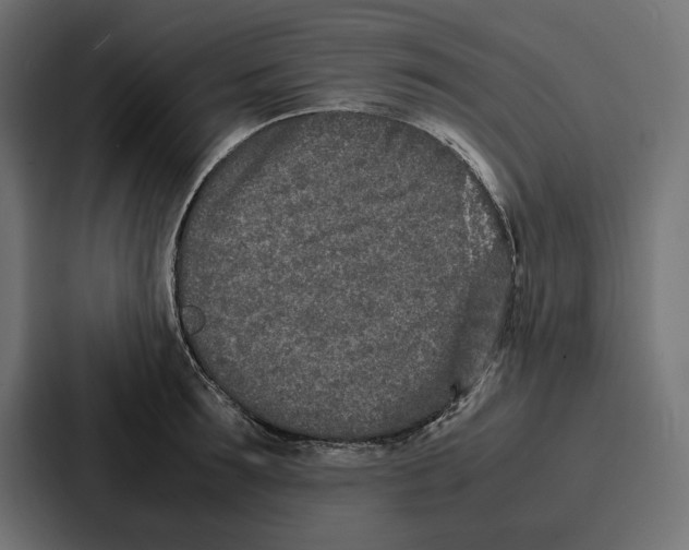 X0000086740899200705111632