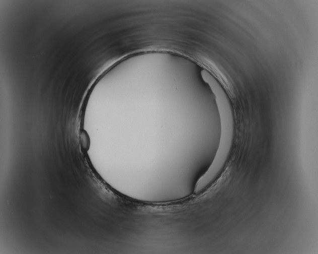 X0000086740900200705111632