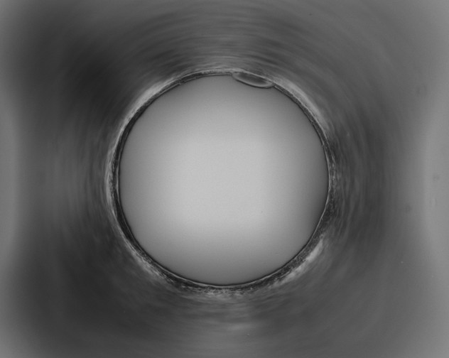 X0000086740901200705111632