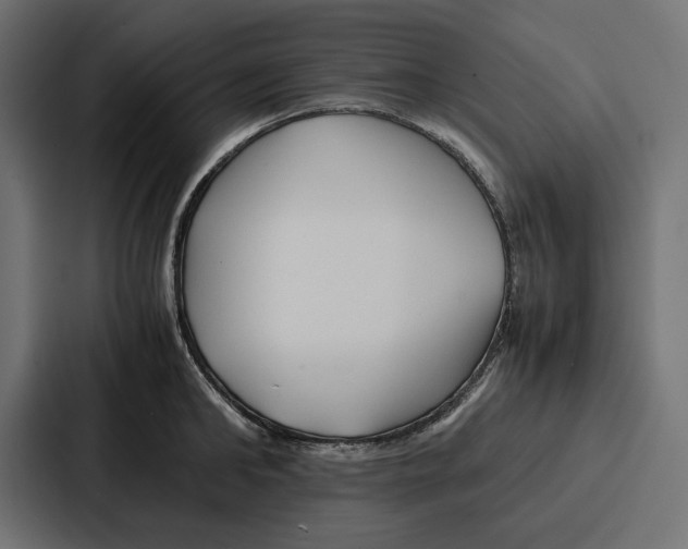 X0000086740902200705111632