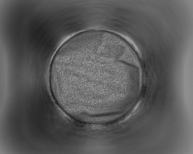 X0000086740903200705111632