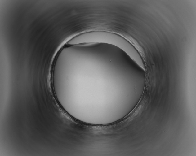 X0000086740904200705111632