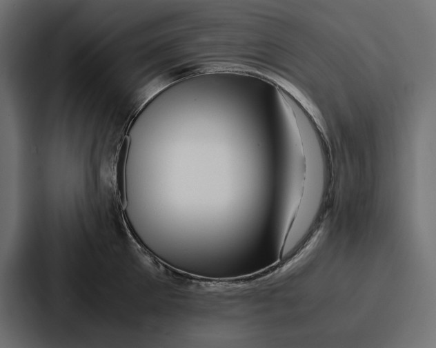 X0000086740905200705111632